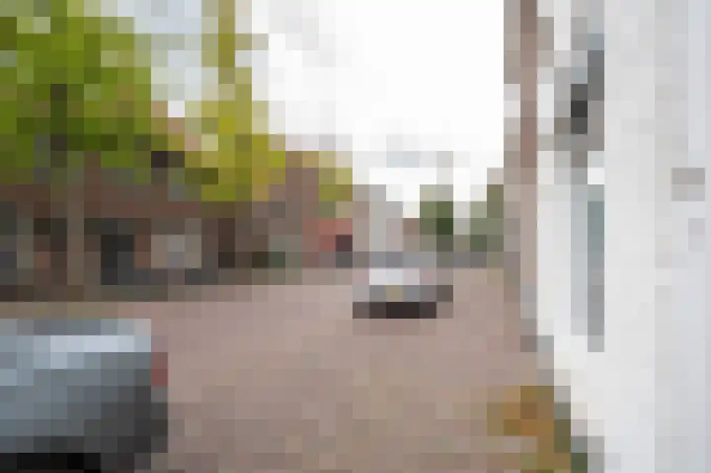 Prijssestraat 61 Culemborg thumbnail 6