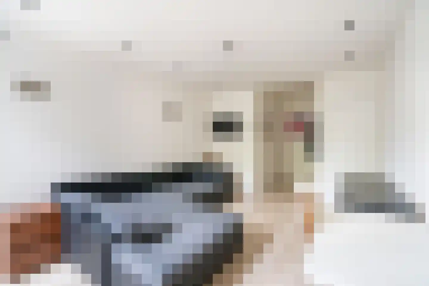Prijssestraat 61 Culemborg thumbnail 8