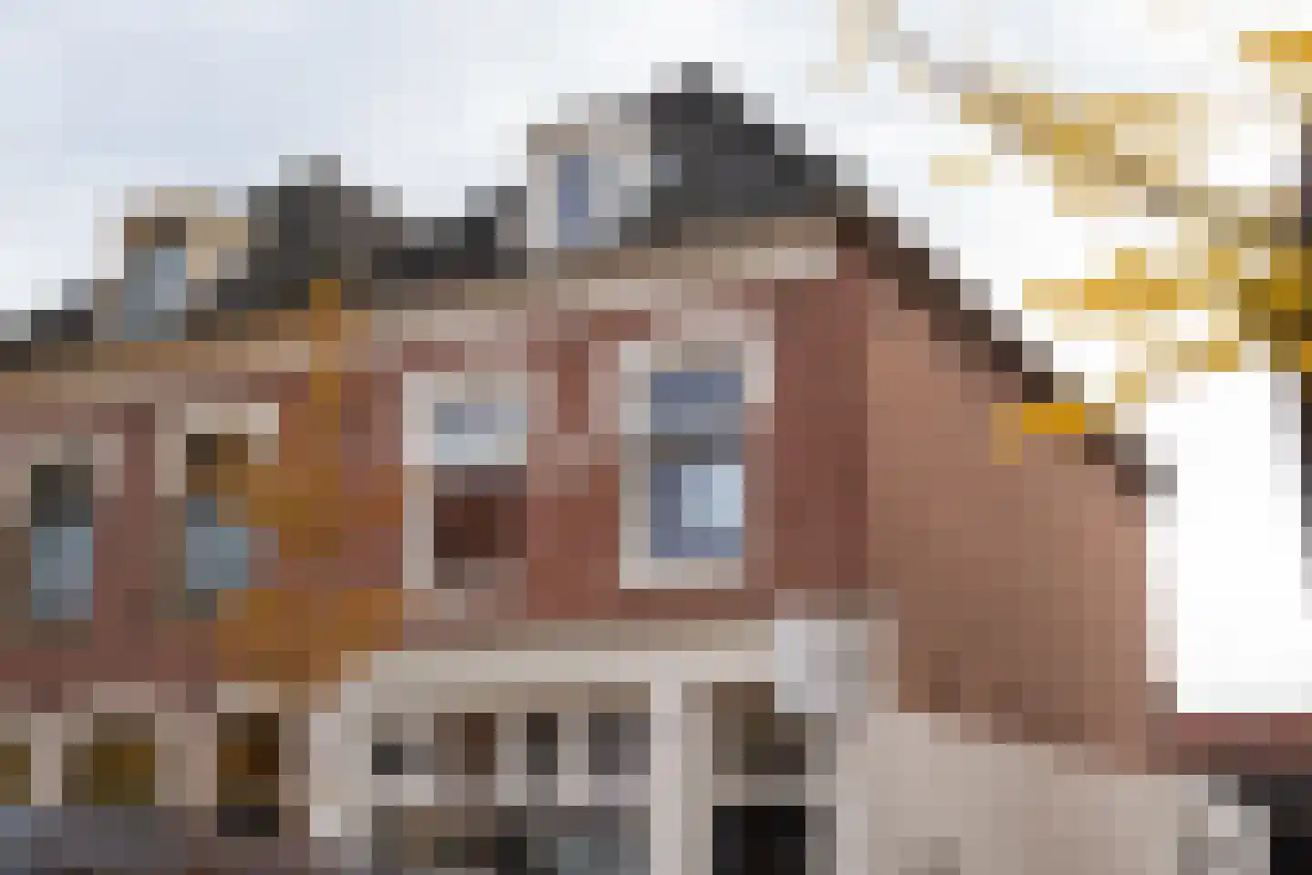 Prijssestraat 74 a in Culemborg