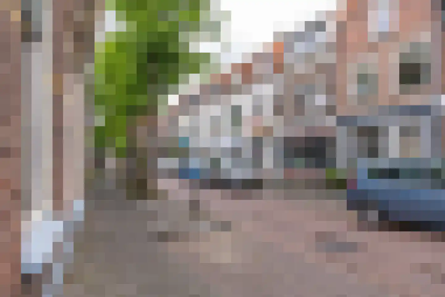 Prijssestraat 9 Culemborg thumbnail 11