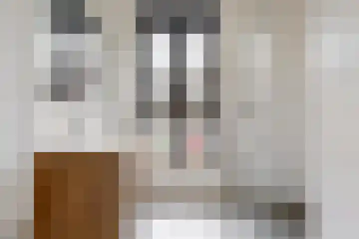 Prikkengat 27 Maassluis thumbnail 23