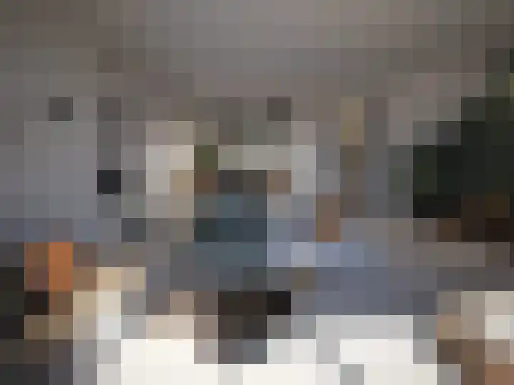 Prikkengat 27 Maassluis thumbnail 9