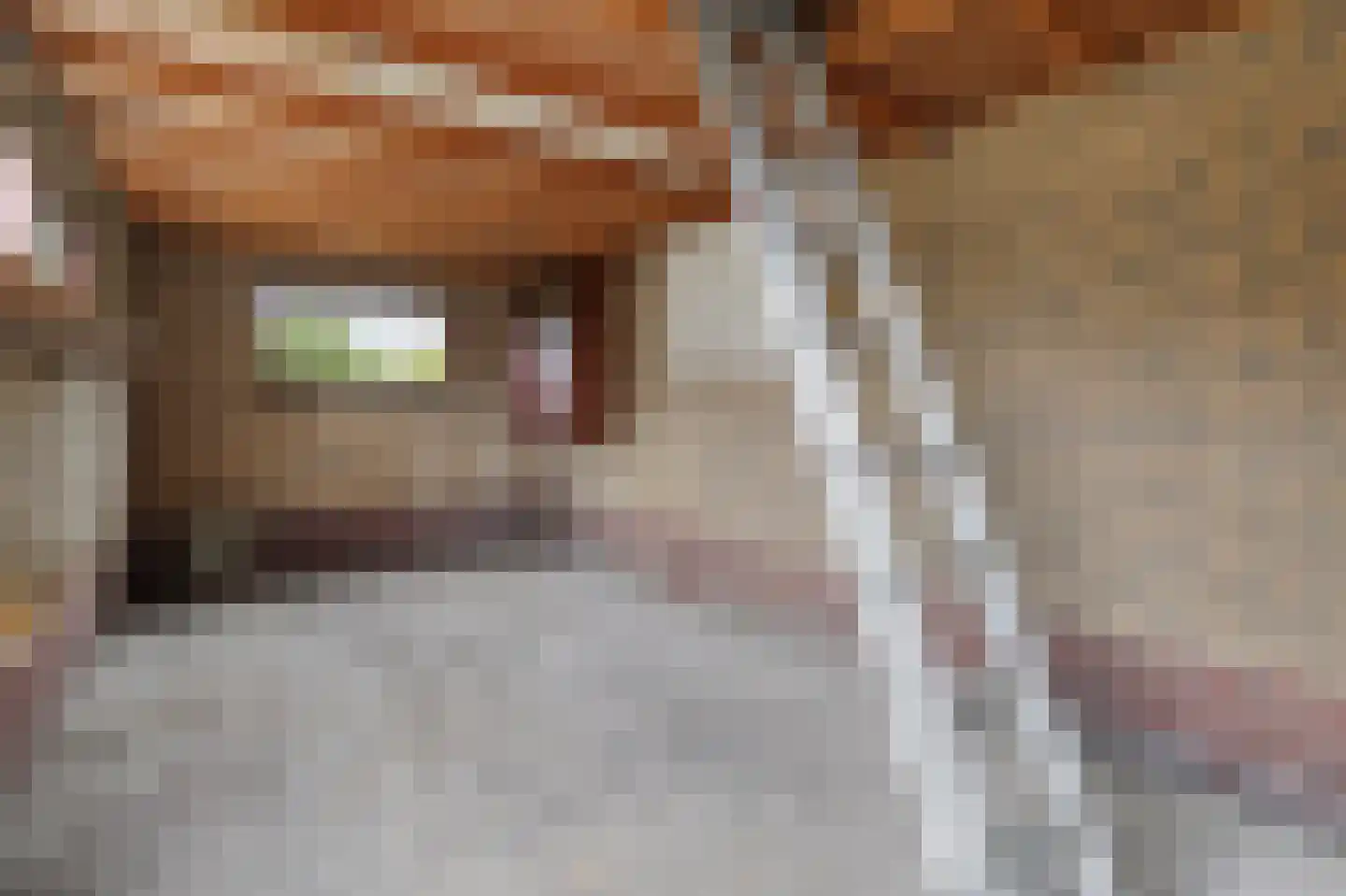 Prikkewei 53 A Nij Beets thumbnail 48