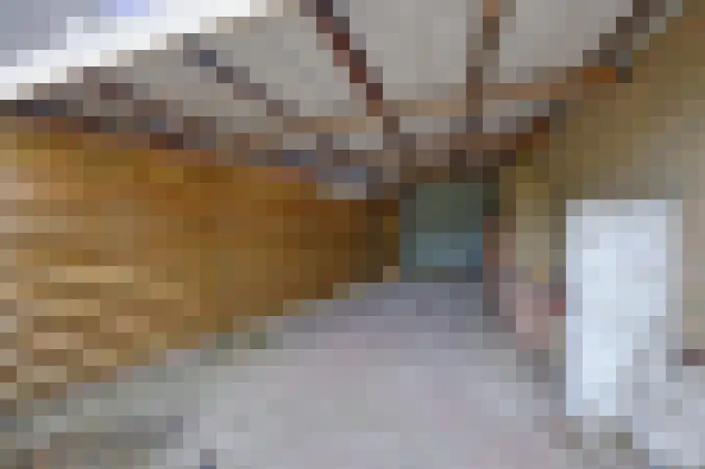 Prikkewei 53 A Nij Beets thumbnail 52