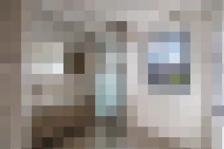 Primula 5 Ens thumbnail 46
