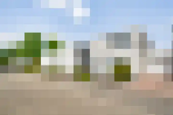 Primulabeemd 5 Maastricht thumbnail 29