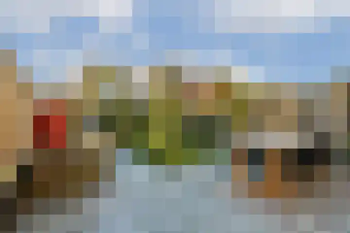 Primulahof 64 Vlaardingen thumbnail 13