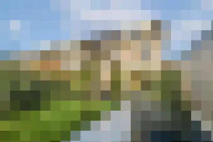 Primulahof 64 Vlaardingen thumbnail 14