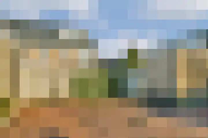 Primulahof 64 Vlaardingen thumbnail 30