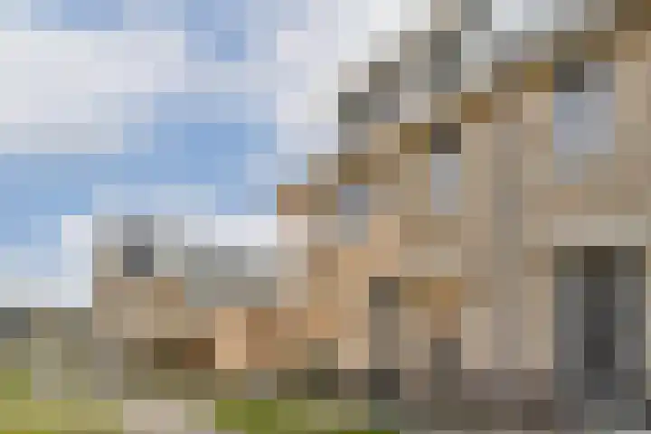 Primulahof 64 Vlaardingen thumbnail 31