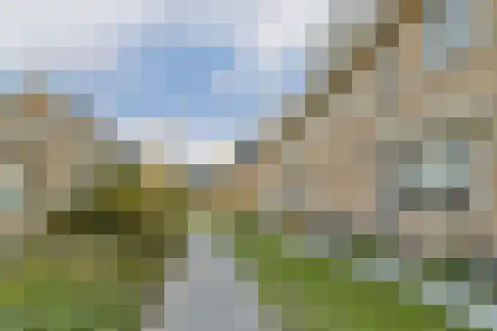 Primulahof 64 Vlaardingen thumbnail 32