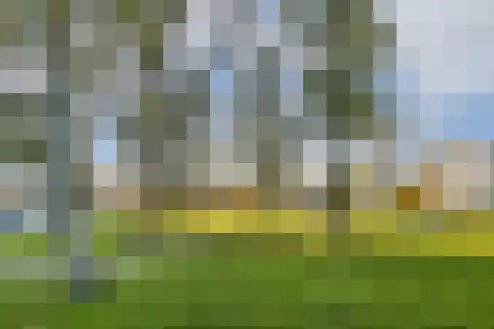 Primulahof 64 Vlaardingen thumbnail 34