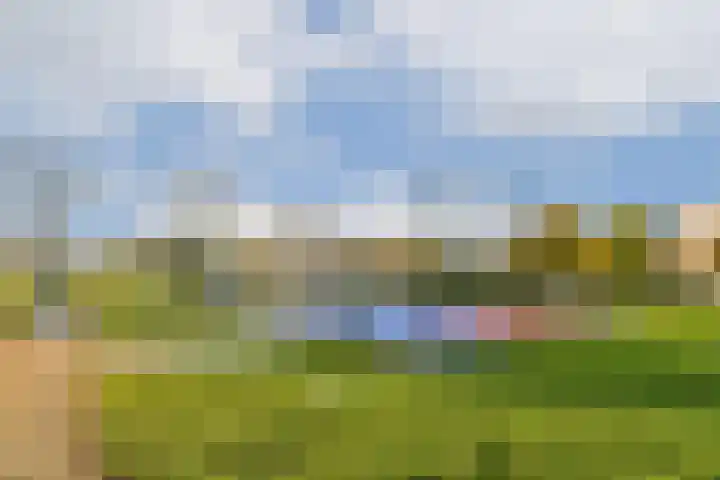 Primulahof 64 Vlaardingen thumbnail 35