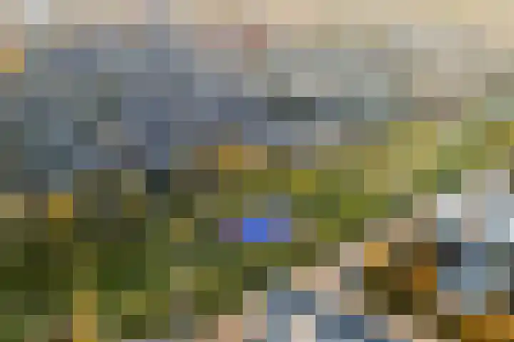 Primulahof 64 Vlaardingen thumbnail 36