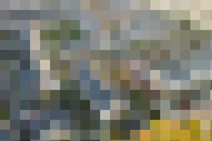 Primulahof 64 Vlaardingen thumbnail 38