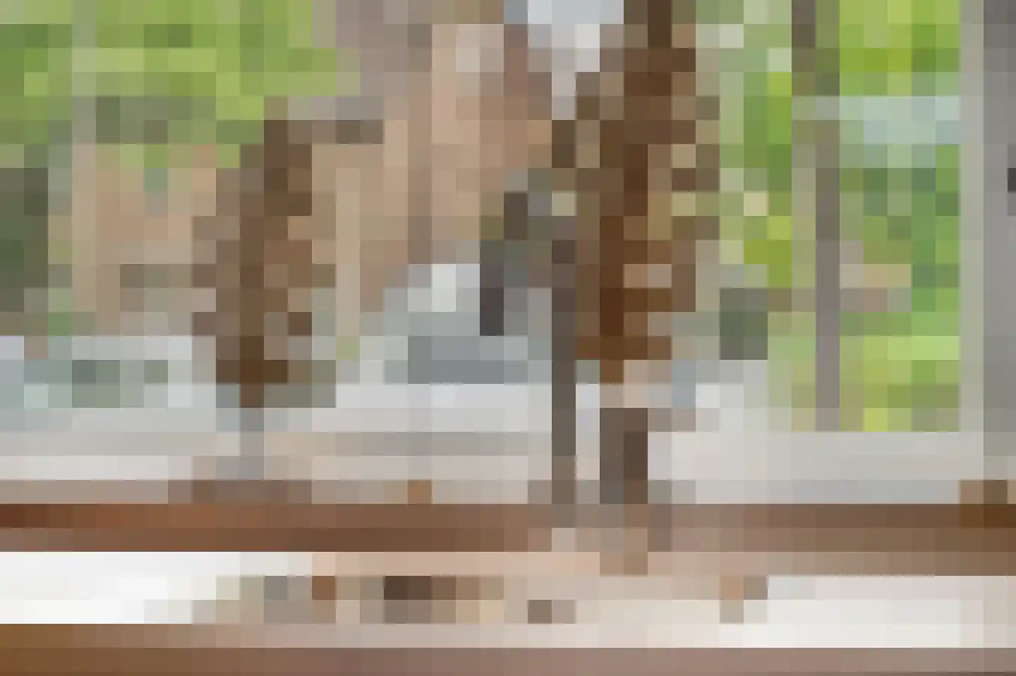 Primulalaan 11 Ede thumbnail 16