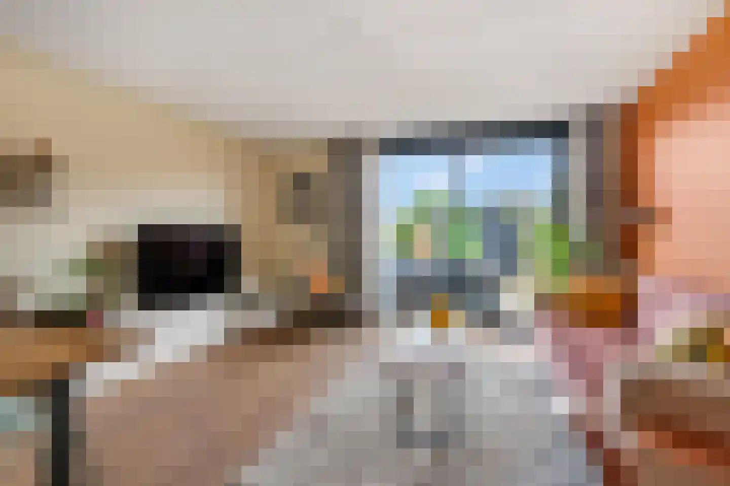 Primulalaan 11 Ede thumbnail 5