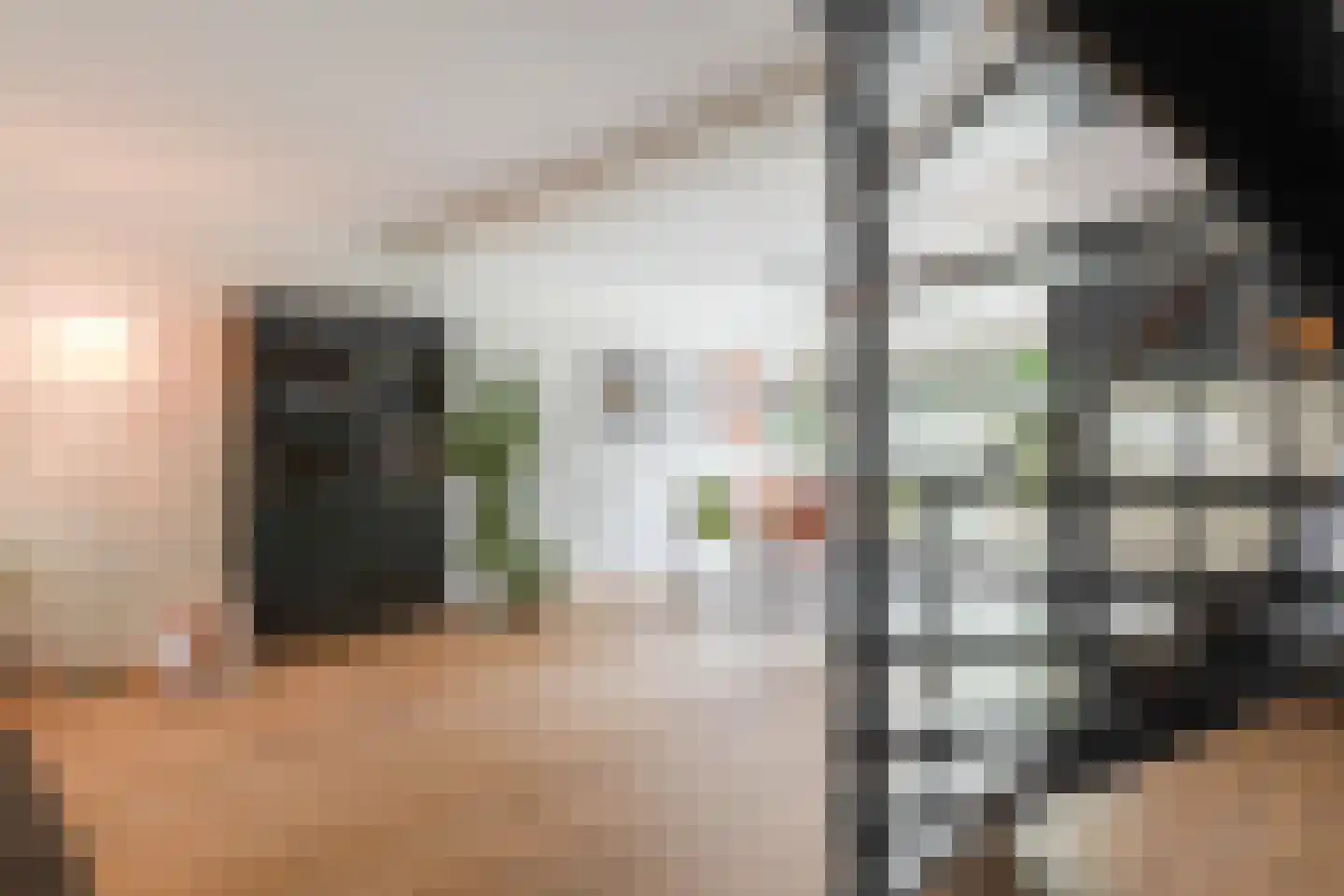 Primulalaan 18 Waalre thumbnail 10