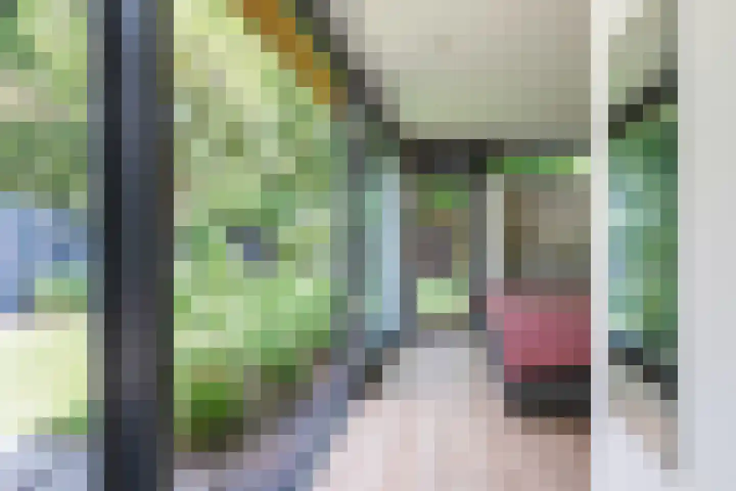 Primulalaan 18 Waalre thumbnail 20