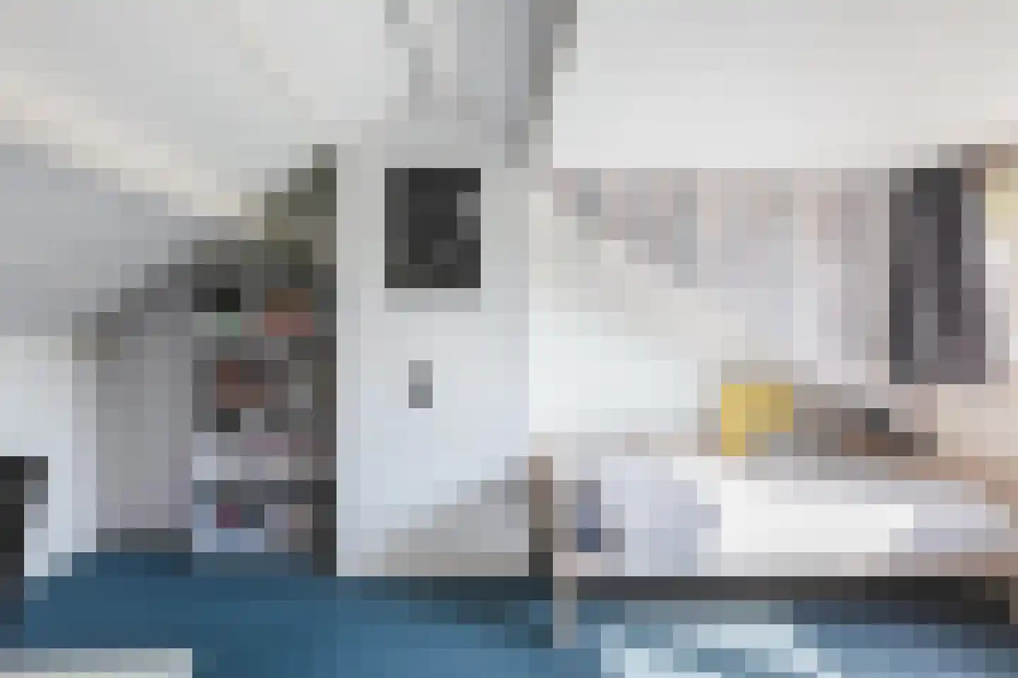 Primulalaan 18 Waalre thumbnail 37