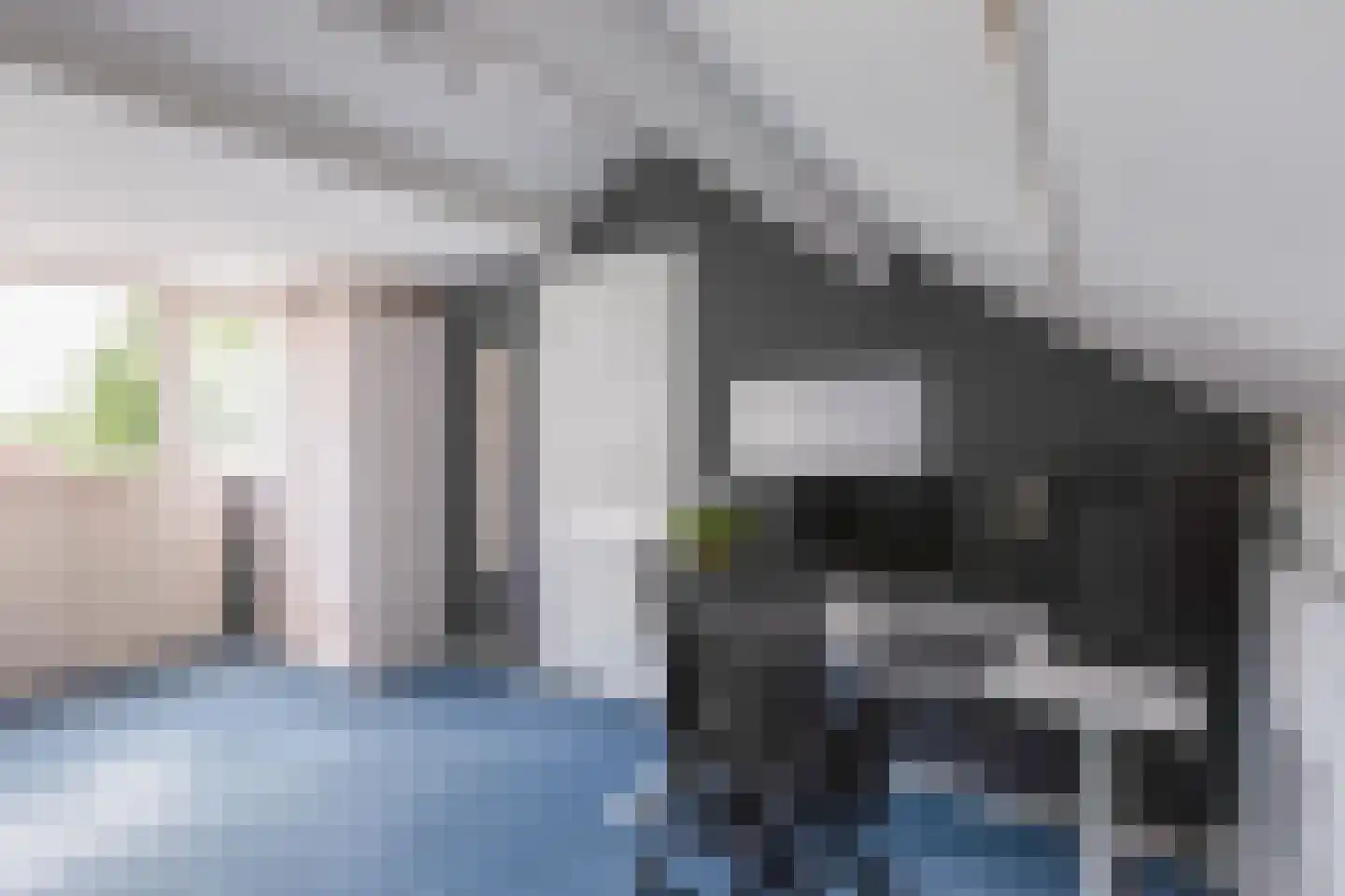 Primulalaan 18 Waalre thumbnail 39