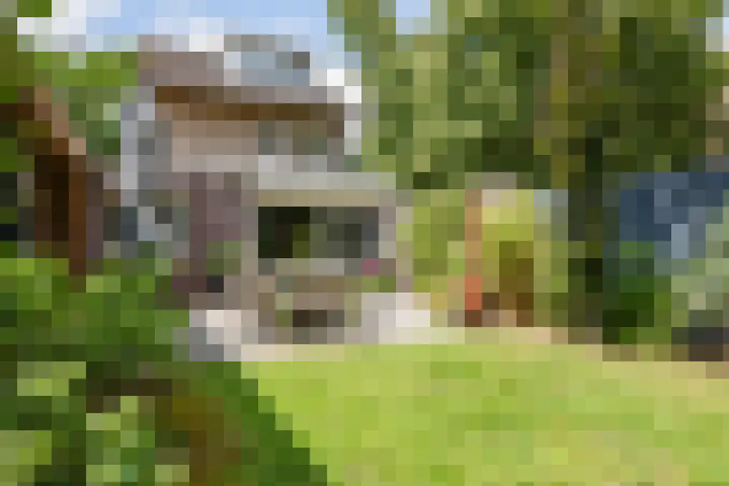 Primulalaan 18 Waalre thumbnail 42