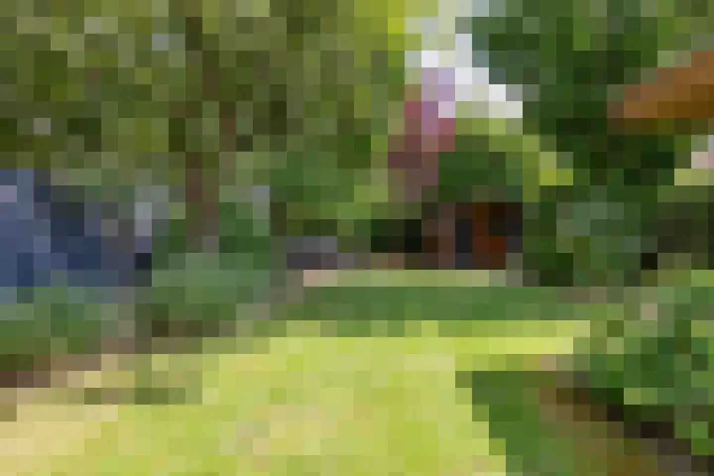 Primulalaan 18 Waalre thumbnail 43