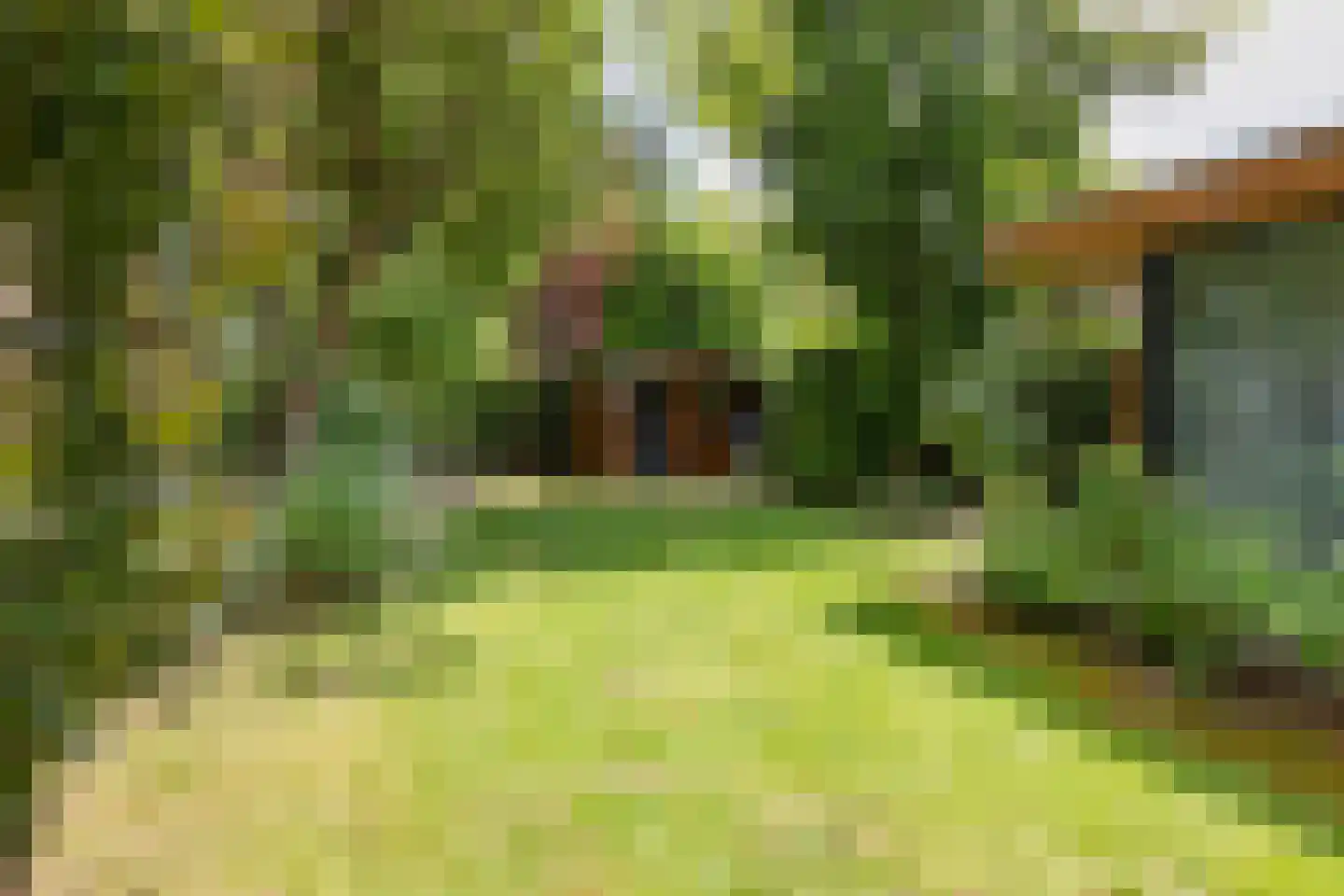 Primulalaan 18 Waalre thumbnail 44