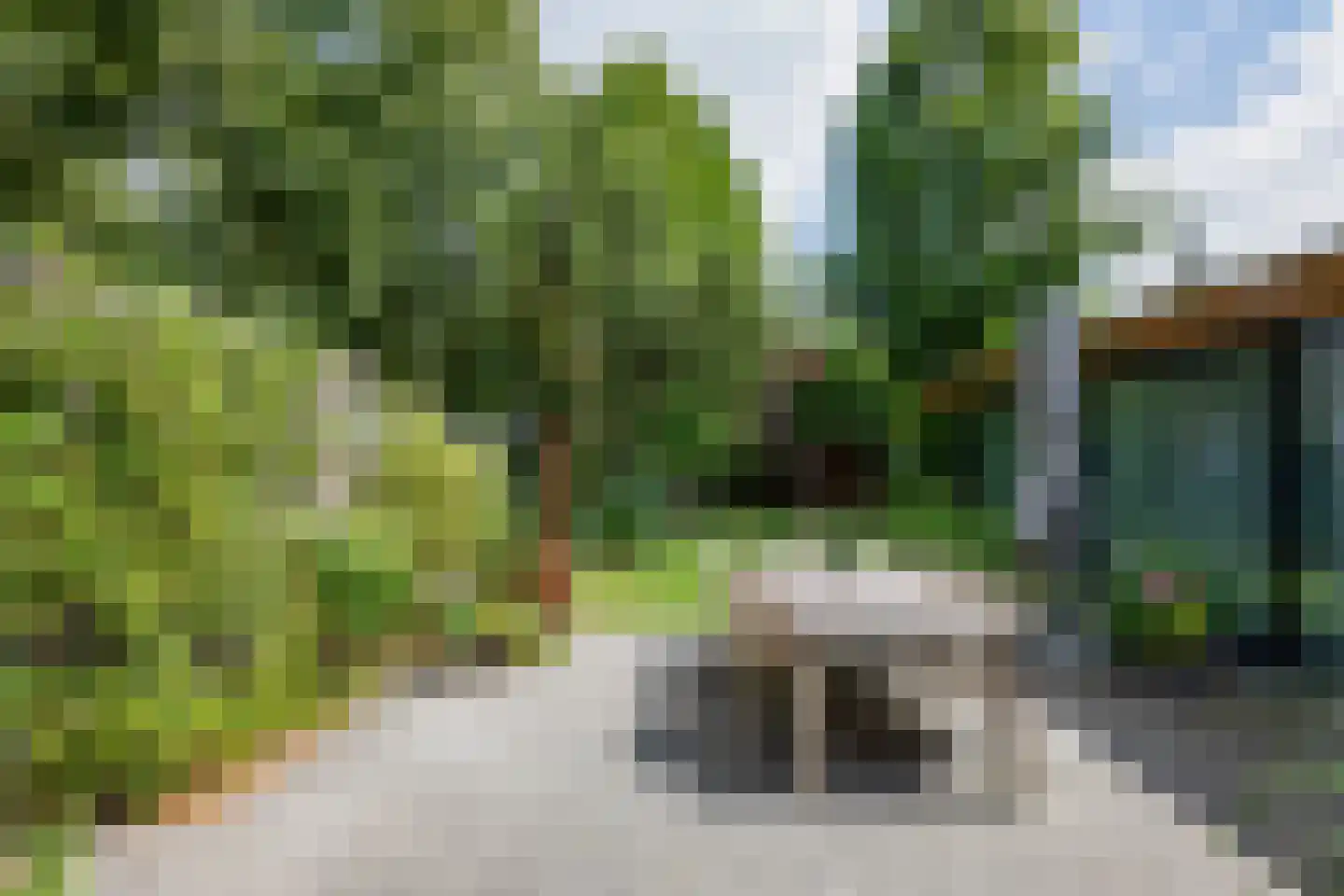 Primulalaan 18 Waalre thumbnail 47