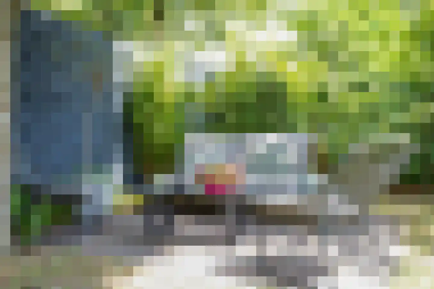 Primulalaan 18 Waalre thumbnail 48