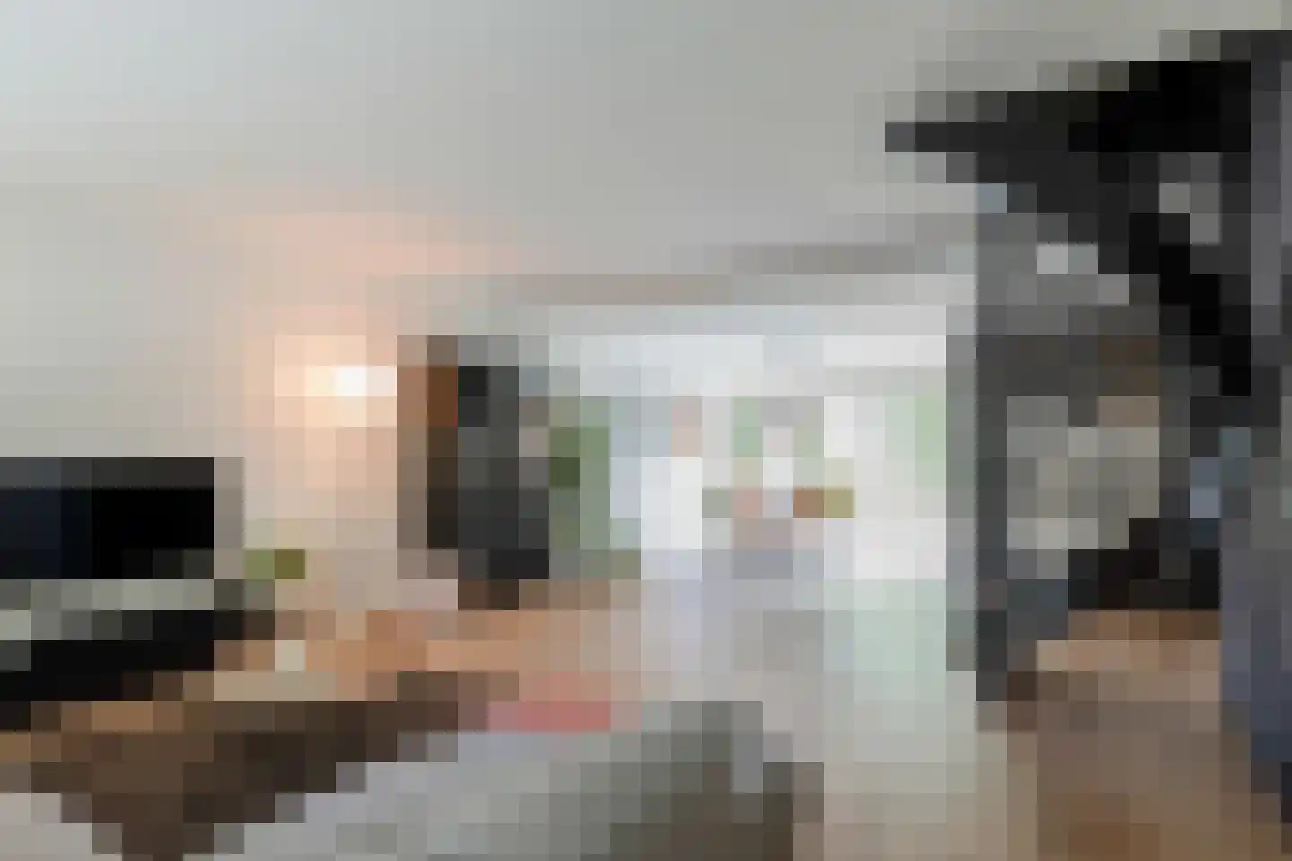 Primulalaan 18 Waalre thumbnail 7