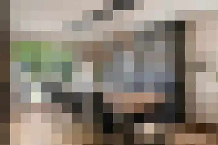 Primulalaan 4 Waalre thumbnail 14