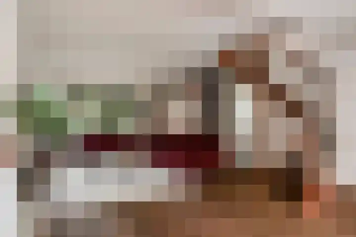 Primulalaan 4 Waalre thumbnail 15