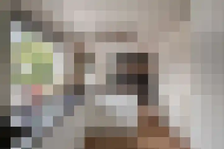 Primulalaan 4 Waalre thumbnail 17