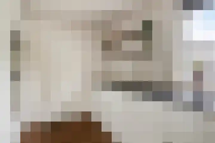 Primulalaan 4 Waalre thumbnail 19