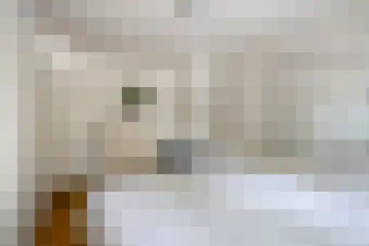 Primulalaan 4 Waalre thumbnail 25