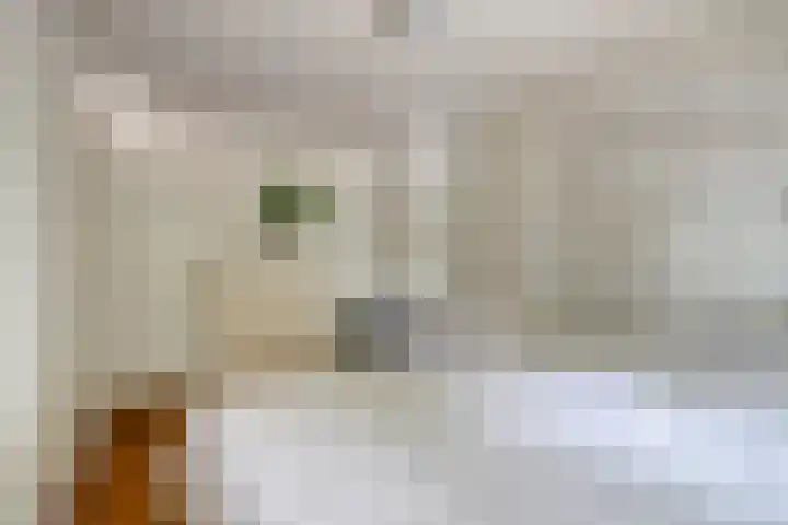 Primulalaan 4 Waalre thumbnail 26