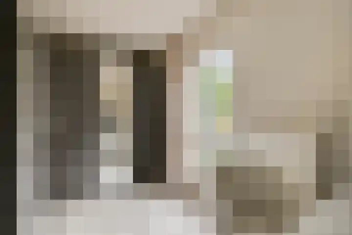 Primulalaan 4 Waalre thumbnail 29