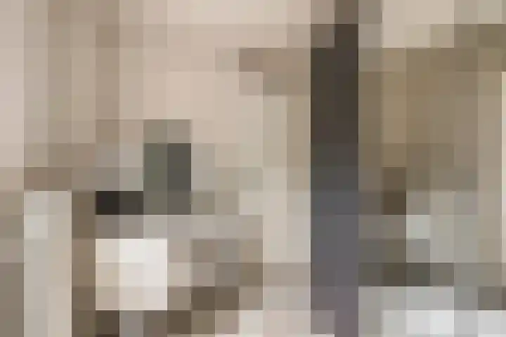 Primulalaan 4 Waalre thumbnail 30