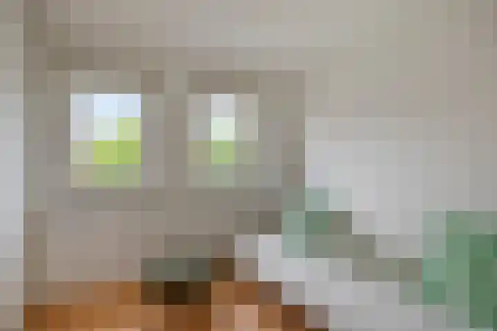 Primulalaan 4 Waalre thumbnail 32