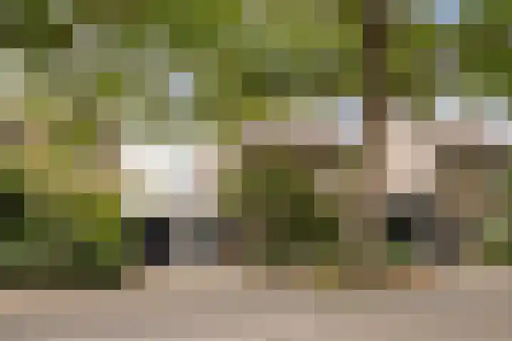Primulalaan 4 Waalre thumbnail 4