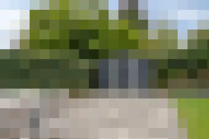 Primulalaan 4 Waalre thumbnail 41