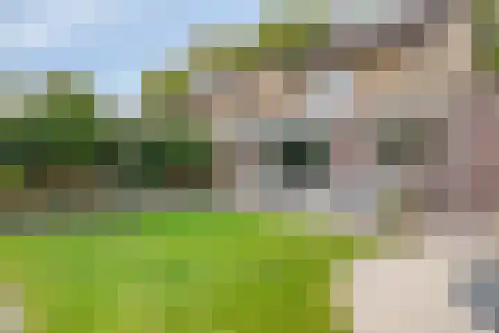 Primulalaan 4 Waalre thumbnail 42