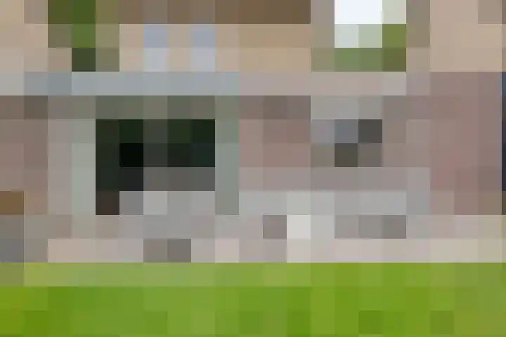 Primulalaan 4 Waalre thumbnail 43