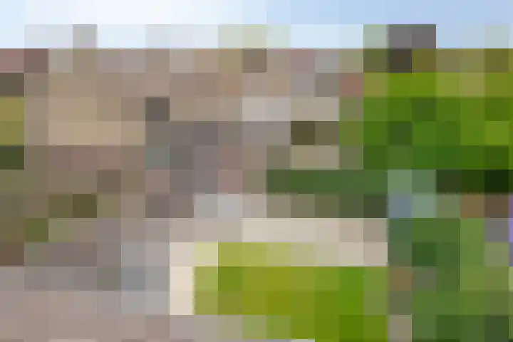 Primulalaan 4 Waalre thumbnail 46