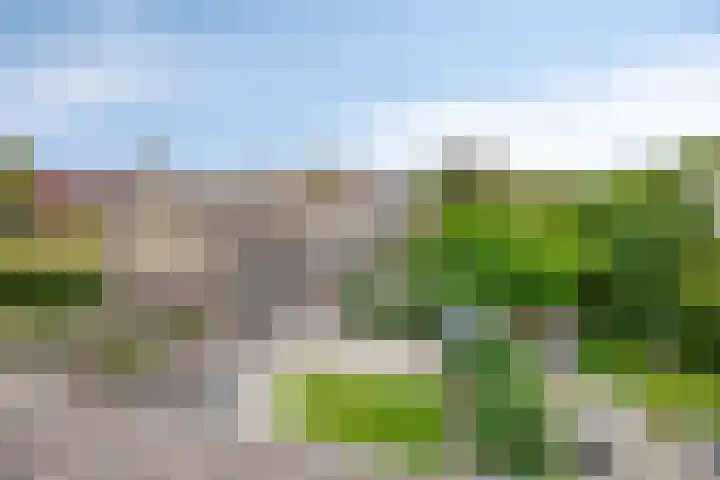 Primulalaan 4 Waalre thumbnail 47