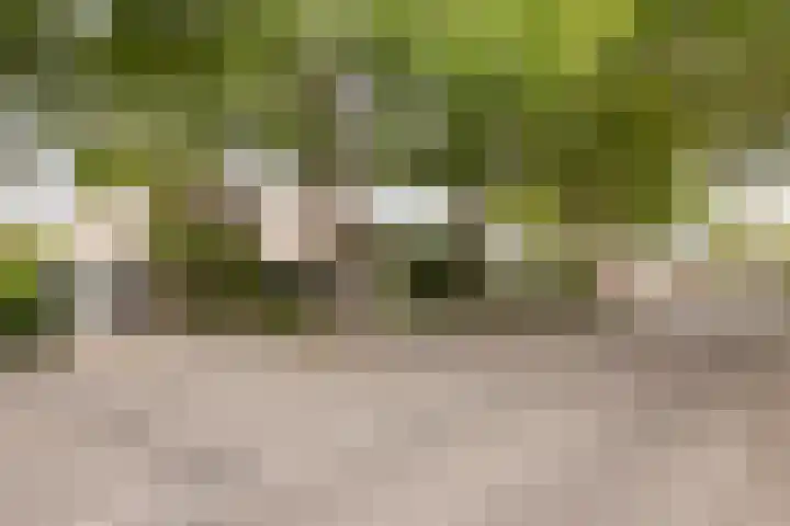 Primulalaan 4 Waalre thumbnail 5