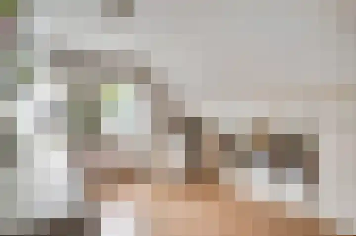 Primulastraat 1 Leende thumbnail 22