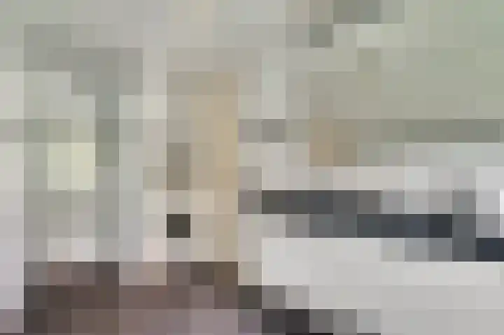 Primulastraat 1 Leende thumbnail 28