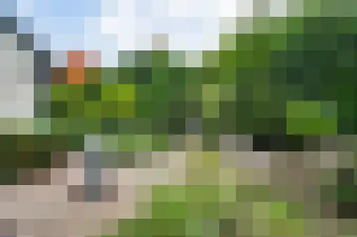 Primulastraat 1 Leende thumbnail 4